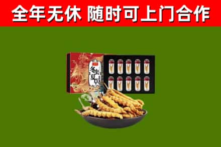 兴国县回收冬虫夏草价格